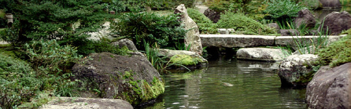 leadership und management im Zen