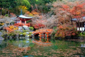 Daigo Ji  