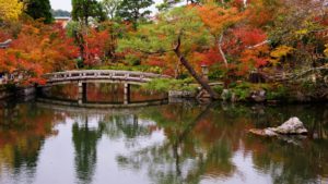 Eikando Zenrinji Temple At Autumn In Kyoto, Japan  