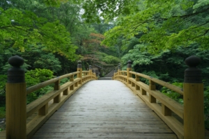 Wooden Bridge In Traditional Japanese Garden, Kyoto  