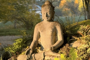 Startseite - Seminare Startseite - Seminare