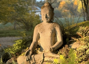 Releasing the Pressure - Stresskompetenz, Klarheit und vitale Präsenz  